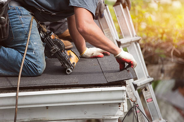 Best Roof Gutter Cleaning  in Killen, AL